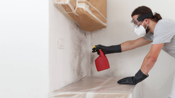 Professional Basement Mold Remediation technician working in Greenville, VA