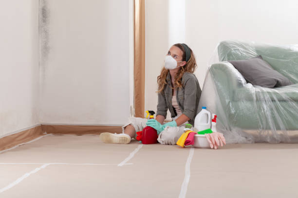 Reliable Basement Mold Remediation contractor in Greenville, VA by WQB Mold Removal
